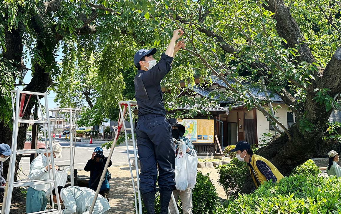 公園緑化活動イメージ